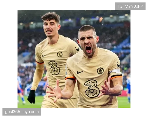 波特海鸥强势连胜,团队实力彰显稳健表现 波特海鸥强势连胜,团队实力彰显稳健表现